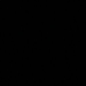 Meet your Posher, Reese